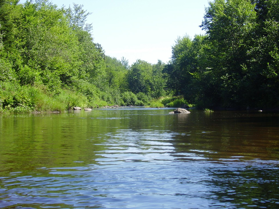 GROBEC Groupe de concertation des bassins versants de la zone Bécancour